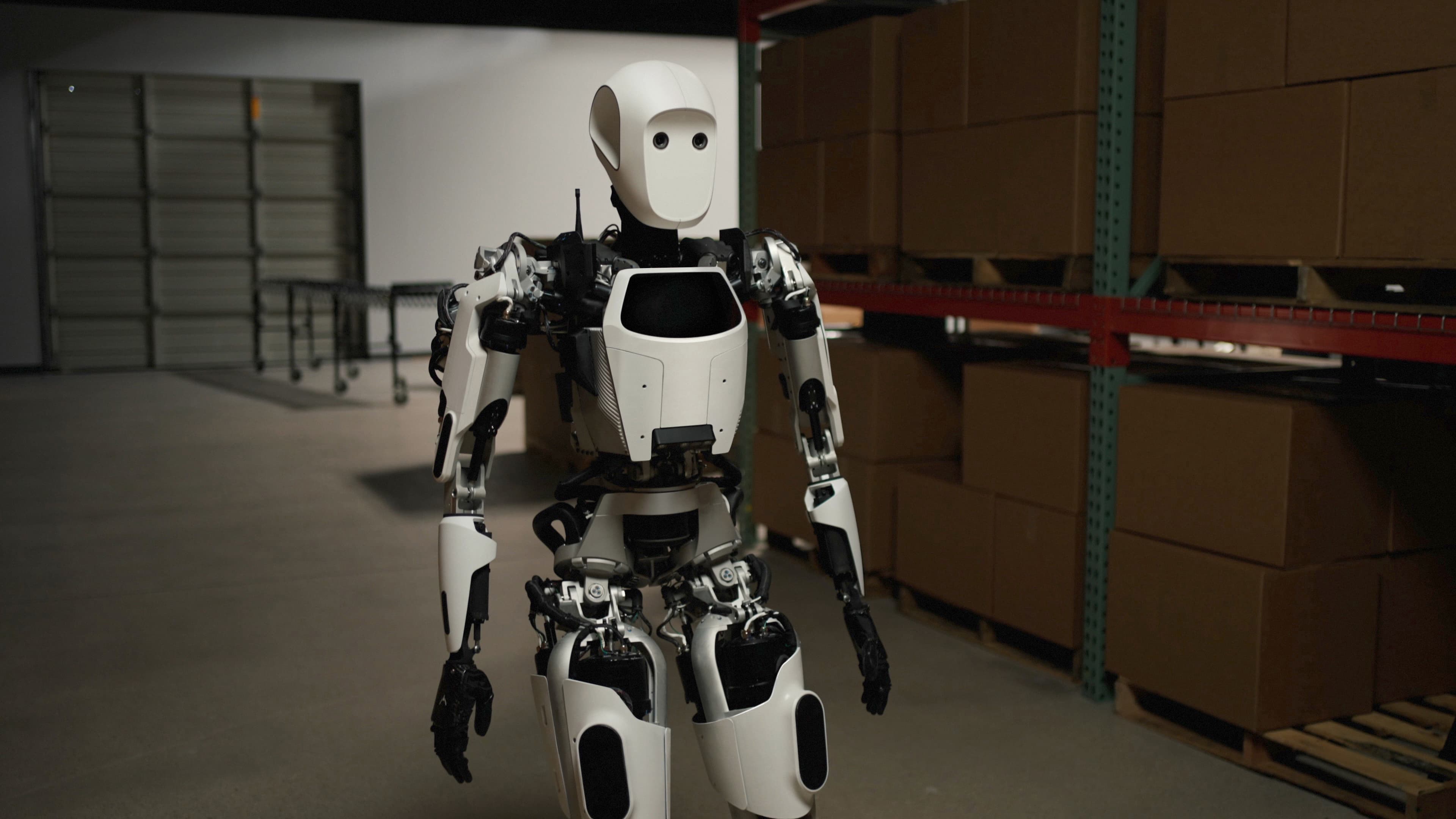 Apollo humanoid robot