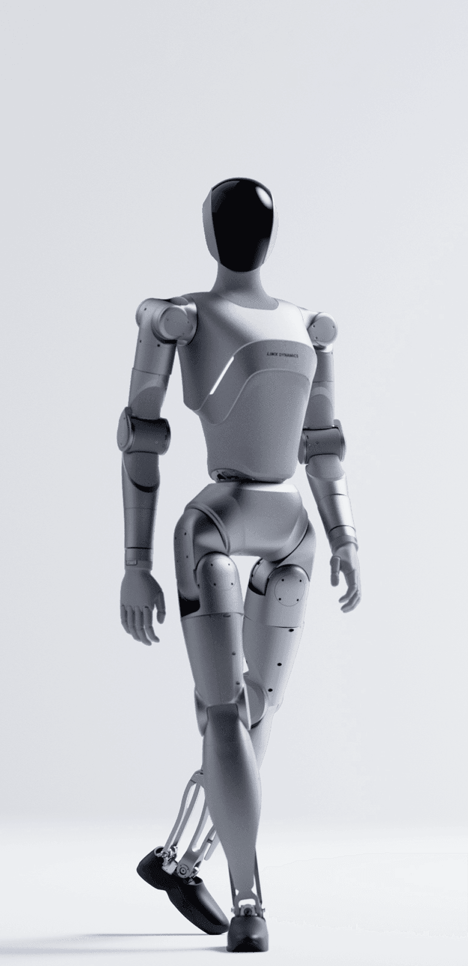 Luna humanoid robot