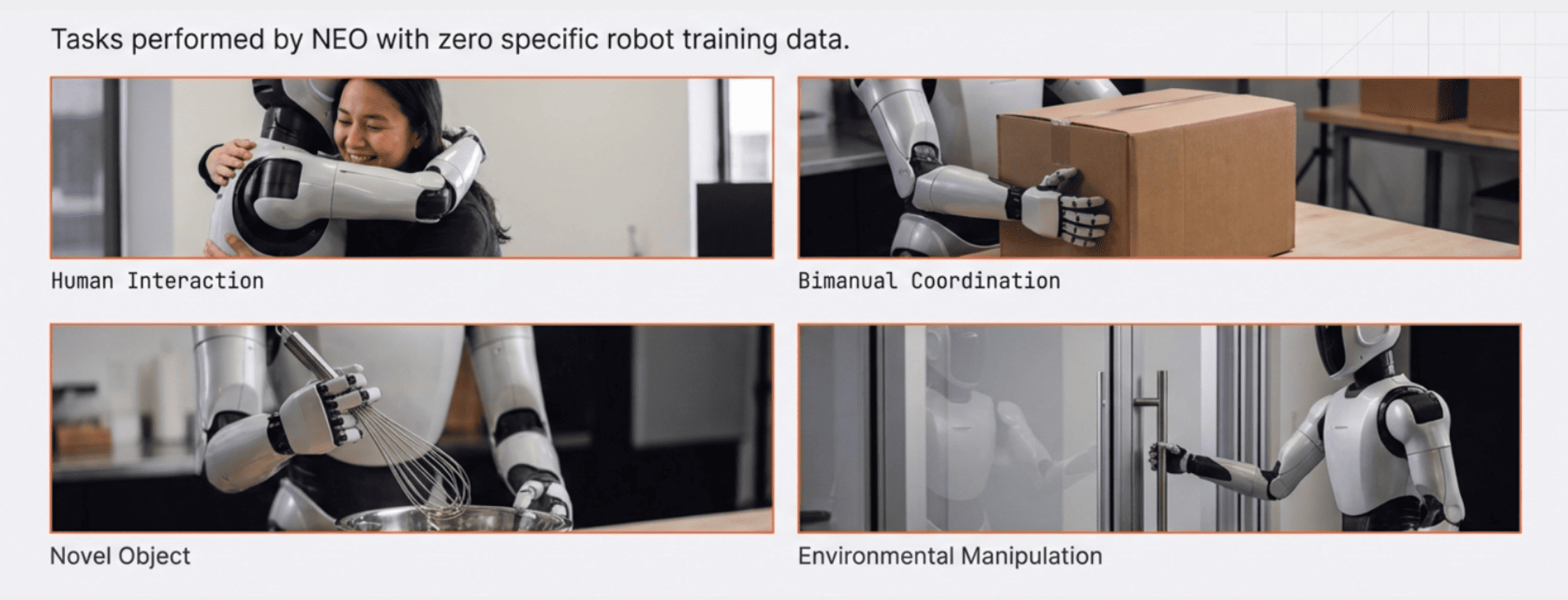 Tasks performed by NEO